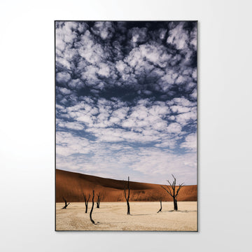 Deadvlei #3